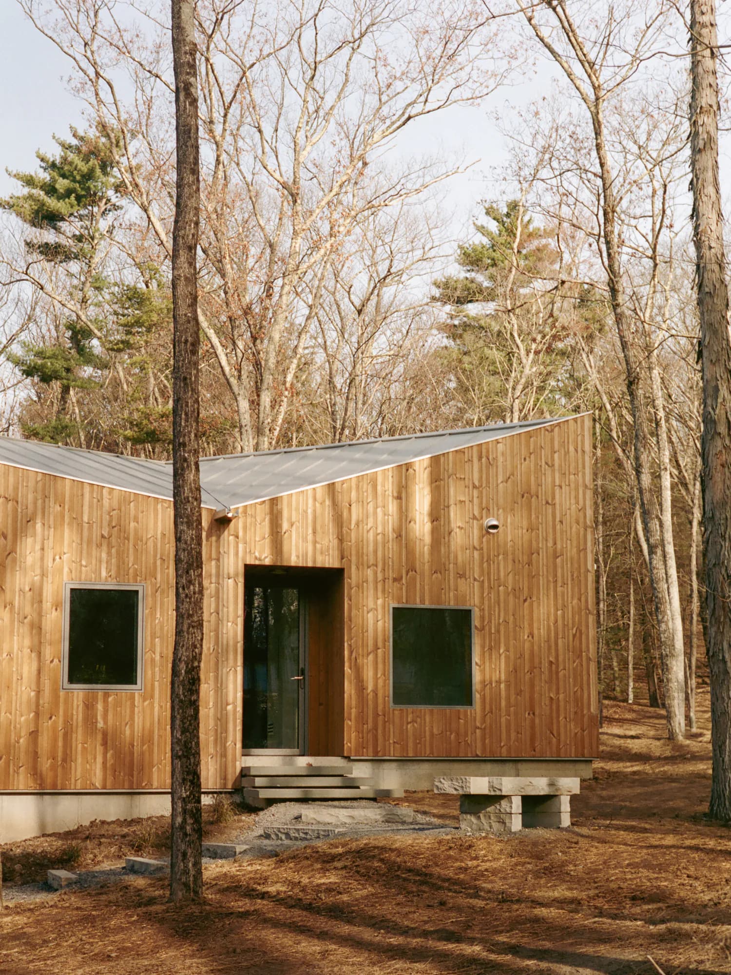 Timber-clad entry elevation under a folded metal roof, steps up to the door