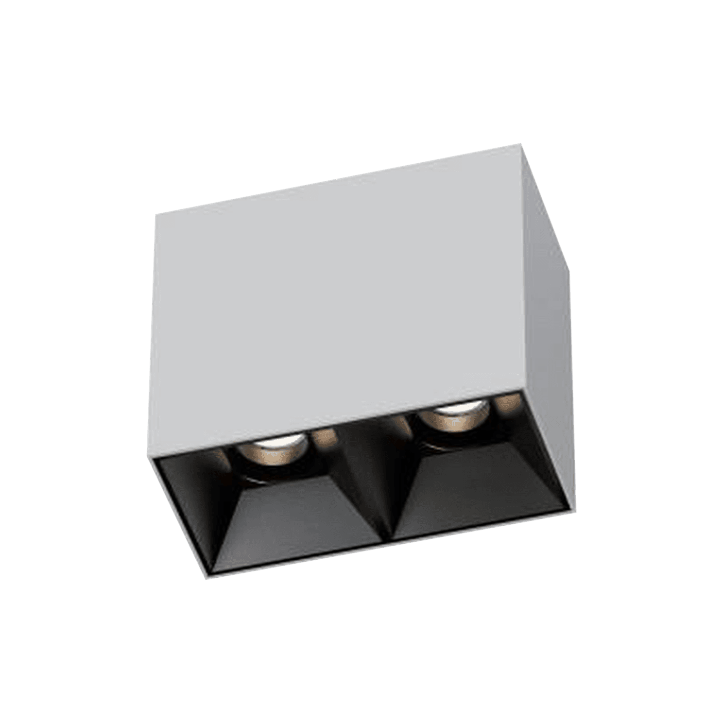 3 Inch Surface Mounted Square Adjustable Double Downlight