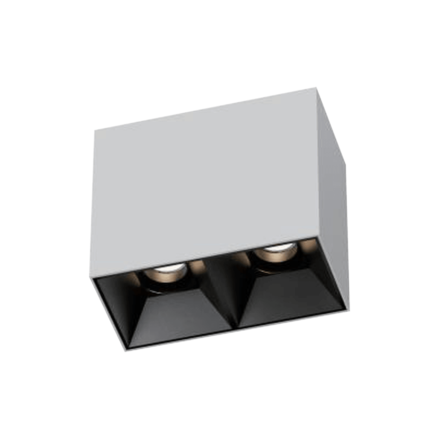 3 Inch Surface Mounted Square Adjustable Double Downlight, white rectangular body with two black reflectors, seen from below at an angle