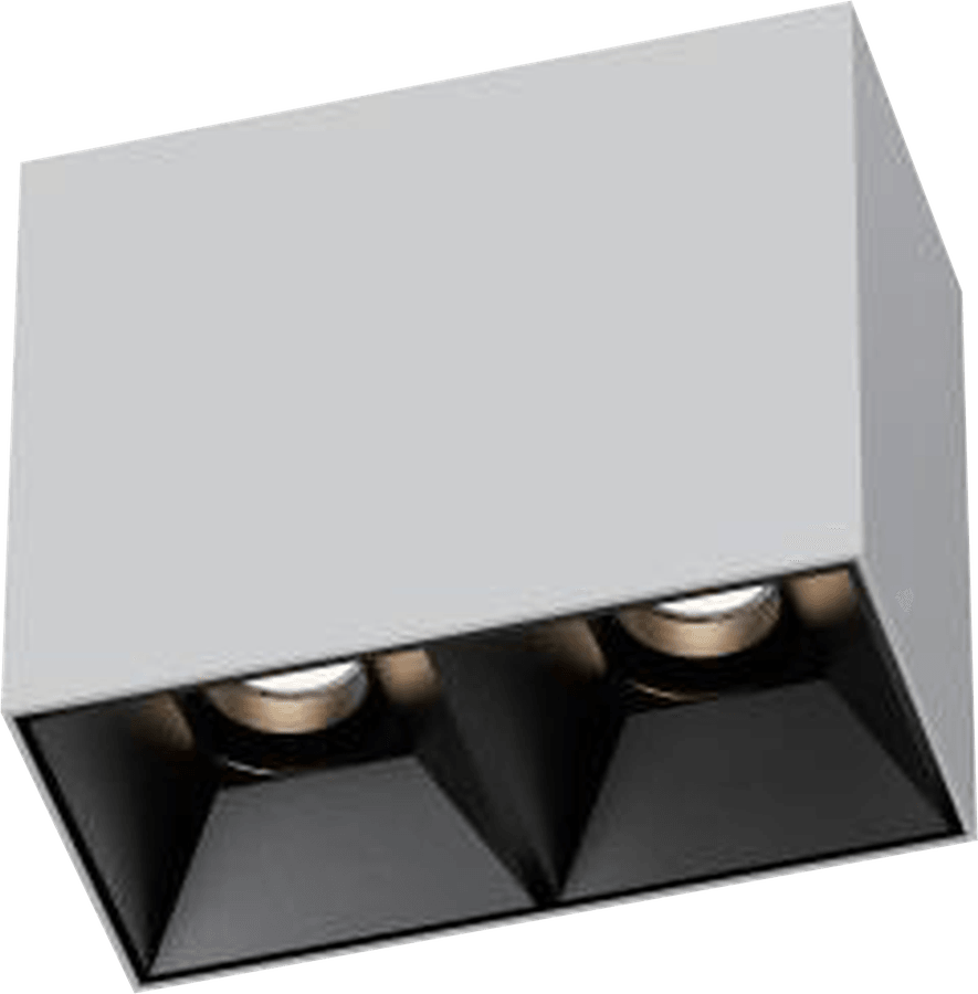 3 Inch Surface Mounted Square Adjustable Double Downlight, white rectangular body with two black reflectors, seen from below at an angle