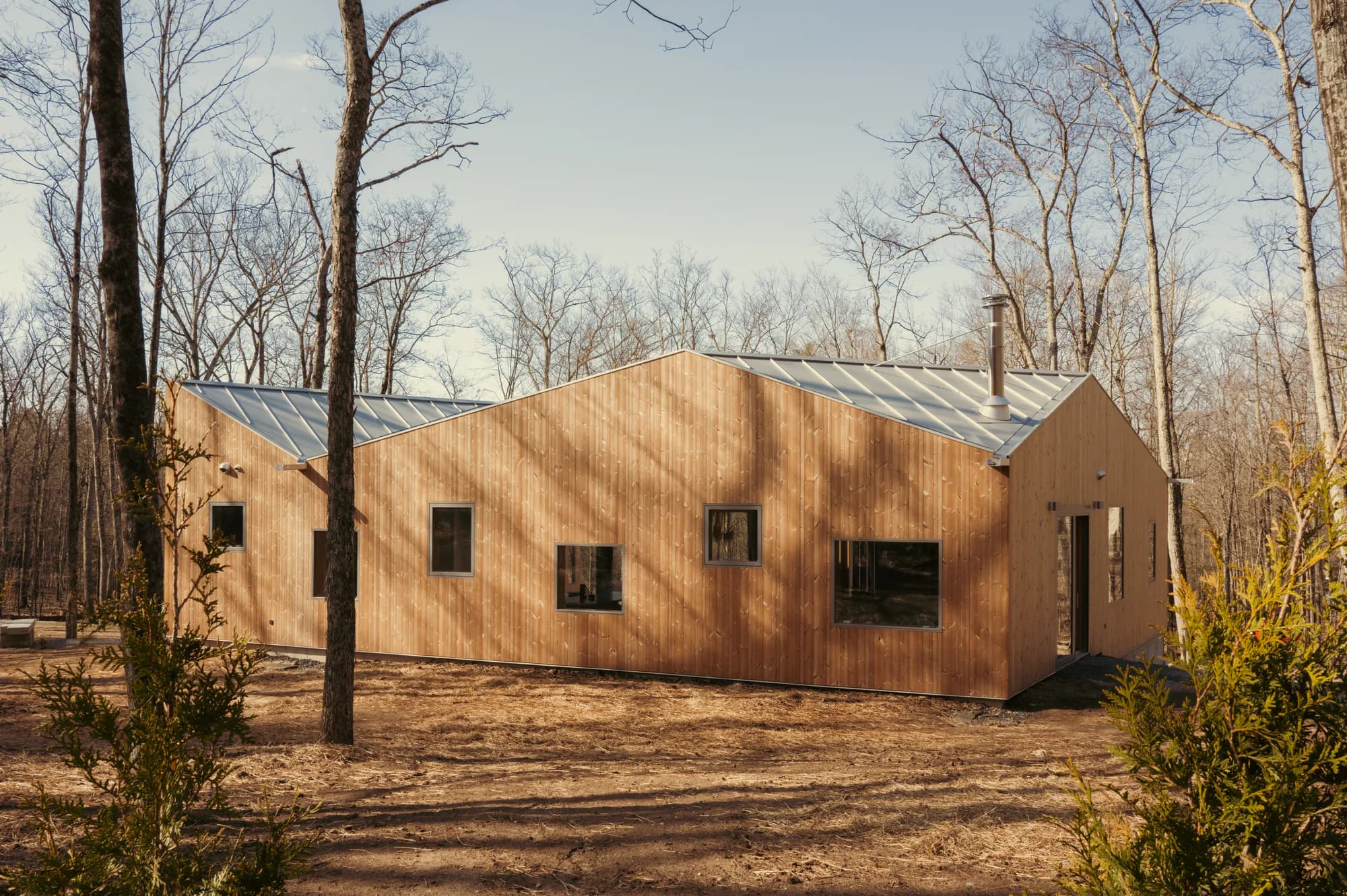 Timber-clad elevation in bare woods under a folded metal roof